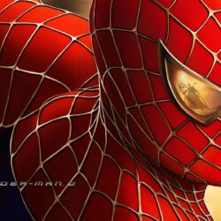Wallpapers For > Spiderman Hd Wallpapers