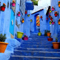 Flowerpots Outside Houses in South America Full HD Wallpapers and