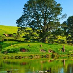 Hobbiton in New Zealand: Lovely Place of Hobbit Houses