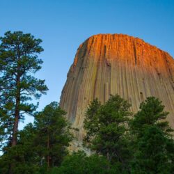 Devils tower national monument, Wyoming, Mountain, Trees, Height