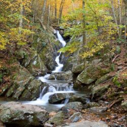 Nature Pictures: View Image of Shenandoah National Park