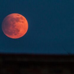Blood Moon Photo