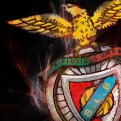 Benfica Wallpapers Group