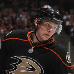 Corey Perry wallpapers and image