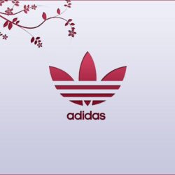 Wallpapers For > Adidas Wallpapers