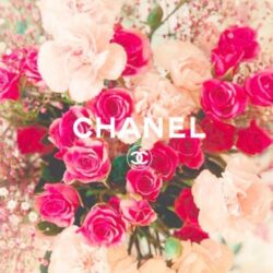 chanel wallpapers
