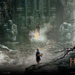 30+ The Hobbit: Desolation of Smaug Wallpapers & Backgrounds