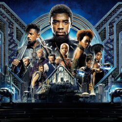 74 Black Panther HD Wallpapers