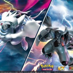 px Pokemon Black And White Wallpapers
