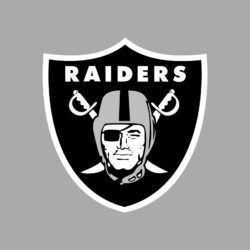best ideas about Raiders wallpapers Image raider