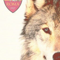 Wolves, As roma and Sons