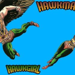 Hawkman and Hawkwoman by Joe Kubert by lovesfantasticbeings on