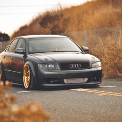 Download Wallpapers audi, a4, audi, autumn, gold Full HD