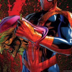 SPIDER MAN Superhero Marvel Spider Man …desktopbackgrounds