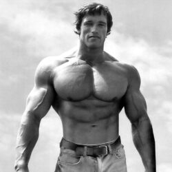 Top Arnold Schwarzenegger Wallpapers with awesome resolution