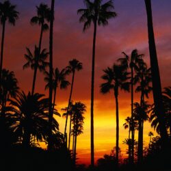 california backgrounds Collection