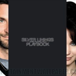 Silver Linings Playbook Wallpapers and Backgrounds Image