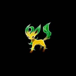Wallpapers For > Leafeon Wallpapers