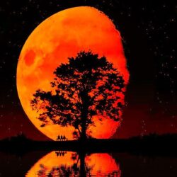 Blood Moon Rising, iPhone Wallpaper, Facebook Cover, Twitter Cover