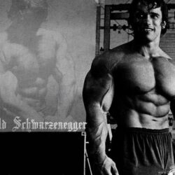 Arnold Schwarzenegger Wallpapers High Resolution And Quality