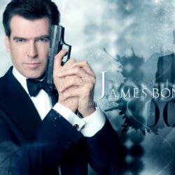 Pierce Brosnan says it’s time for black or gay 007, but what about