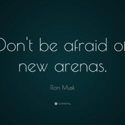 Elon Musk Quote: “Don’t be afraid of new arenas.”