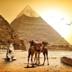 Wallpapers Egypt Fortress Cairo Sky Sunrises and sunsets Cities