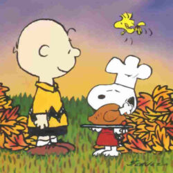 Thanksgiving Snoopy Wallpapers Image HD 254735 Wallpapers