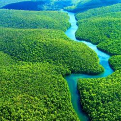 Amazon Rainforest HD Wallpapers