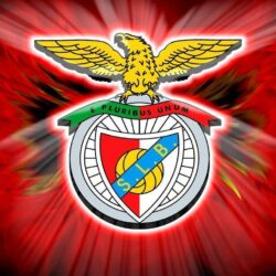 29 Stunning Benfica Logo Wallpapers