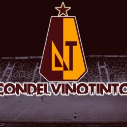 Los datos que inquietan al DEPORTES TOLIMA