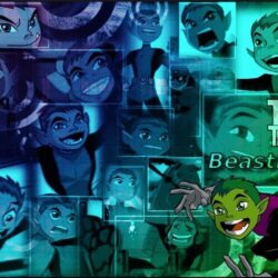 Collection of Beast Boy Wallpapers on HDWallpapers