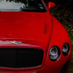 Download wallpapers bentley continental gt, red, front view