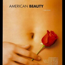 Wallpapers HD iPhone American Beauty