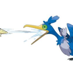 Pokemon Fans Speculate On Whether The Fish Cramorant Spits