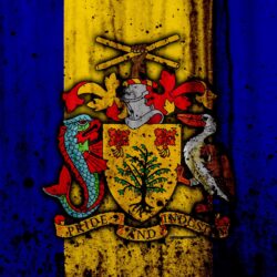 Download wallpapers Barbados flag, 4k, grunge, flag of Barbados