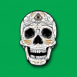 Day Of The Dead Skull Green HD Desktop Wallpaper Backgrounds download