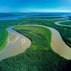 Peru Amazon River Trees Wallpapers HD Free