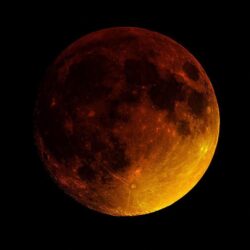 Stunning photos from last night’s rare super blood moon