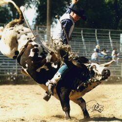 Little Boy Dreams About Pro Bull Rider