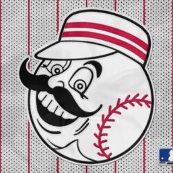 Cincinnati Reds Mascot1 1024×768 HD MLB Wallpapers Res