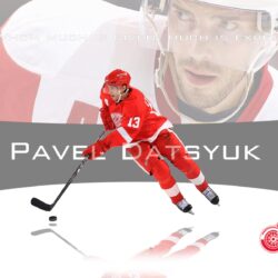 Famous Hockey player of Detroit Pavel Datsyuk wallpapers and image