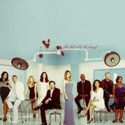 17 Best image about grey’s anatomy