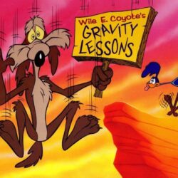 Wile E Coyote iPad 1 & 2 Wallpapers