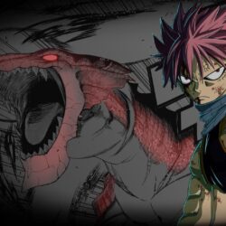 Fairy Tail wallpapers 36