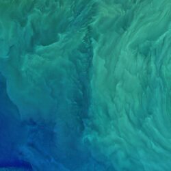 28 iPhone Wallpapers For Ocean Lovers
