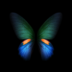 Download] Samsung Galaxy Fold Wallpapers In High Quality!
