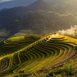 Rice Terraces Mountain Wallpapers New 31 Best Banaue Rice Terraces