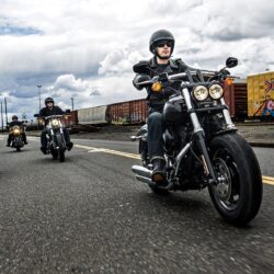 47 Free Harley Davidson Wallpapers