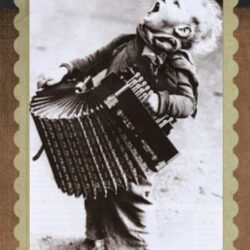 Free stock photo of accordion, boy, child